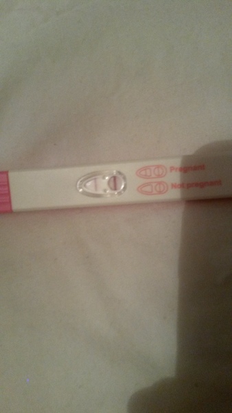 PCOS, Periods, Provera & Pals. Plus All The Bits In between.