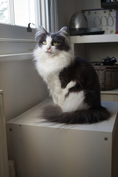 This is Murph...