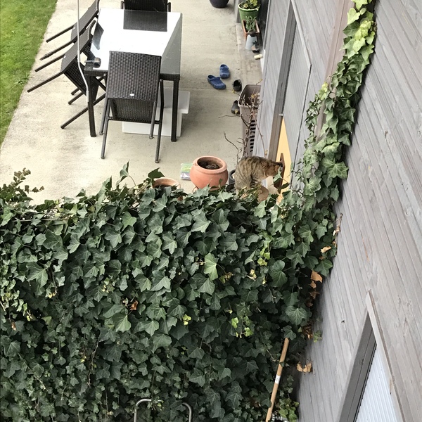 I think they want to go out (pic)