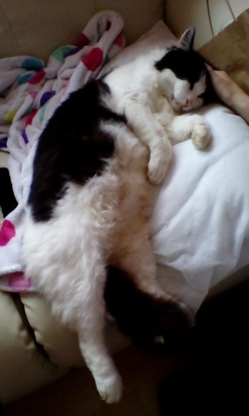 So I came home without him(sad)