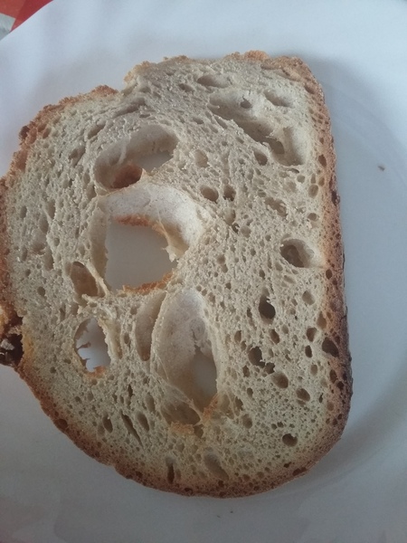 H2B didn't make me toast.