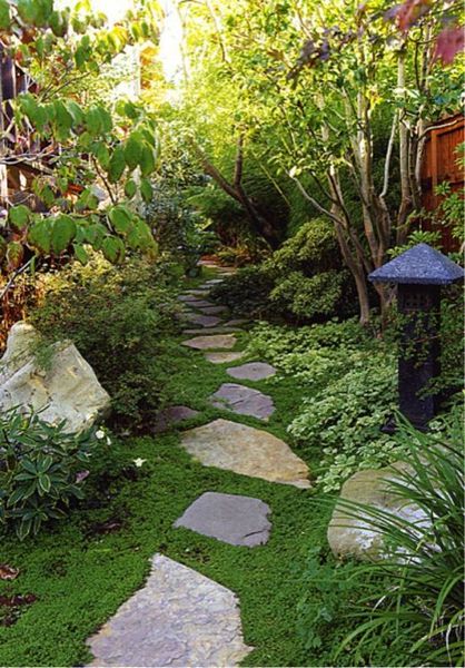 Calling shovetheholly and other gardeners! Help!