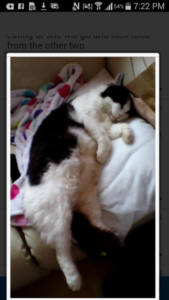 So I came home without him(sad)