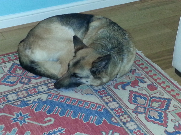 The Mighty Frugaleers Meticulously March into March