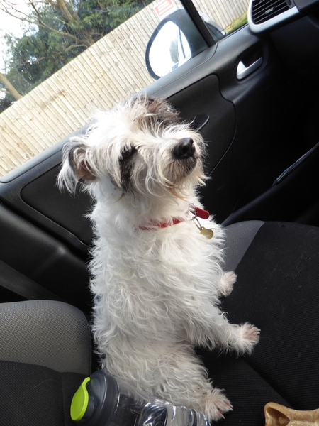 The Mighty Frugaleers Meticulously March into March