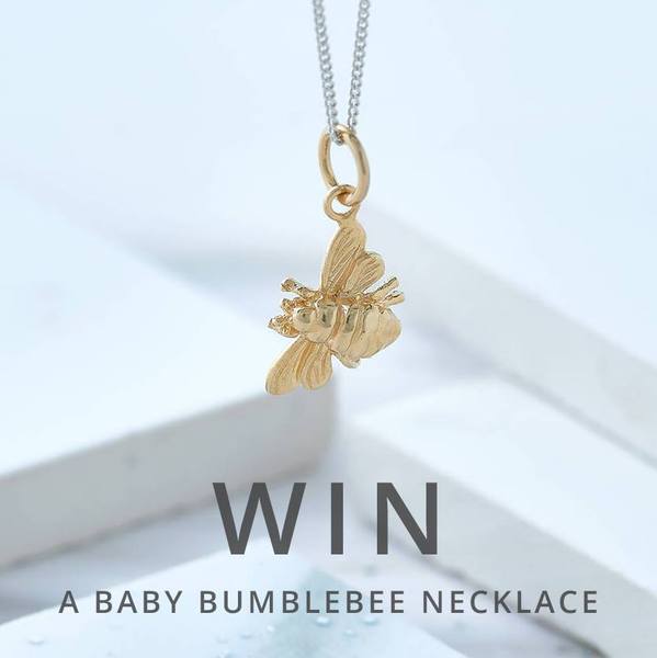E: 28/3 FB Win a designer Bumblebee necklace worth £100!