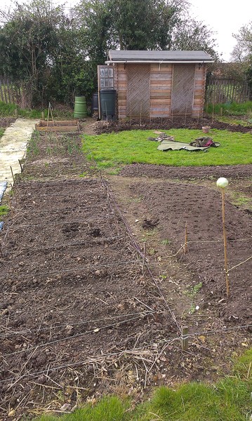 Allotment/Veg Patch - Thread 7 - The Harvesters Arms