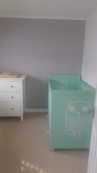 Due July 2017 #4 …… Well into 2nd Trimester! 20 Week Scans and Bumps Galore