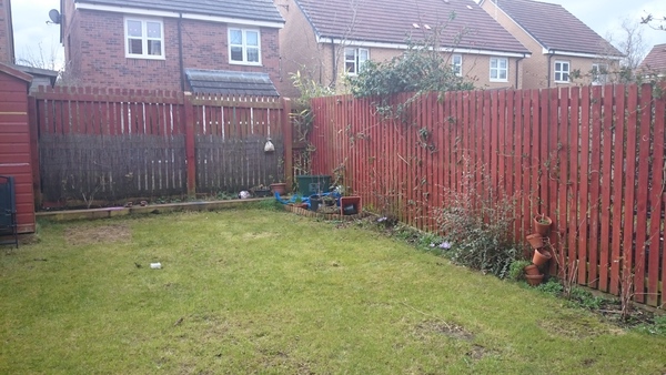 Please help plan my plain garden!