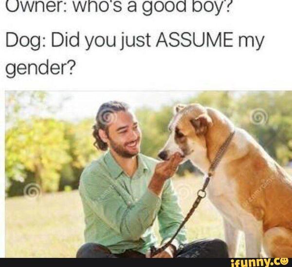 I know I shouldn't, but I'm just going to leave this here and run (lighthearted)