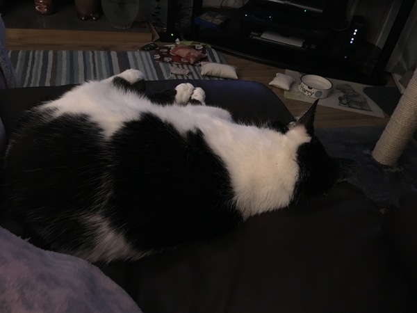 It's not my chair anymore is it?