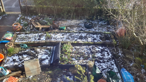 Frugaleers Marching on!