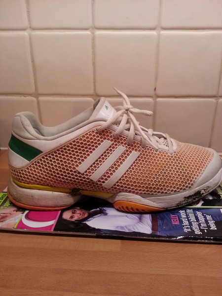 Vegan Trainers, or at least man made