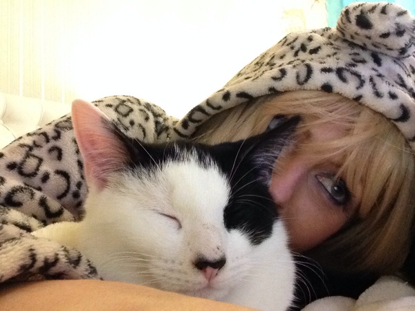 What's your dcat doing today?