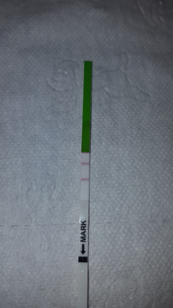 Opk.. opinions please