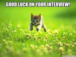 Anyone work with older people with complex mental health issues?