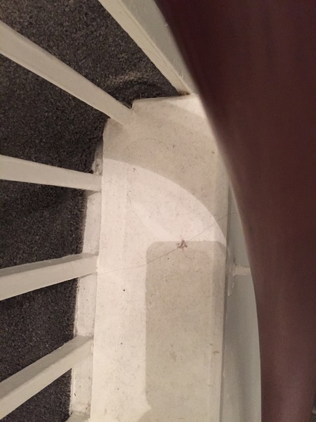 To leave a bad review for an Airbnb that only has good reviews ?