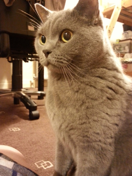 Gorgeous eyes.
