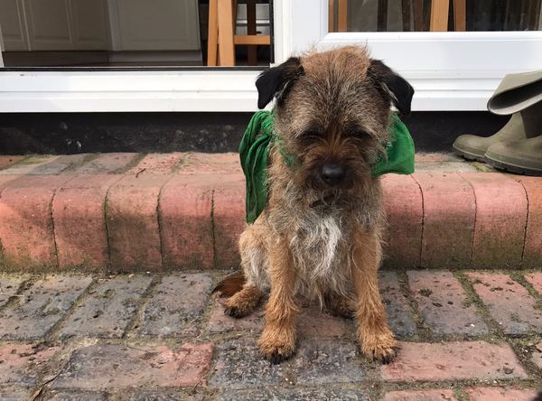 May 2017 #10 - To be prepared or not prepared