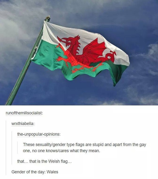 I know I shouldn't, but I'm just going to leave this here and run (lighthearted)