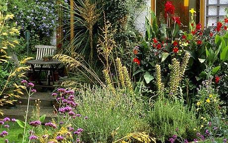 Calling shovetheholly and other gardeners! Help!