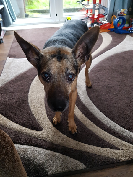 Due in March 2017 - thread #6