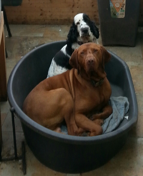 The Mighty Frugaleers Meticulously March into March