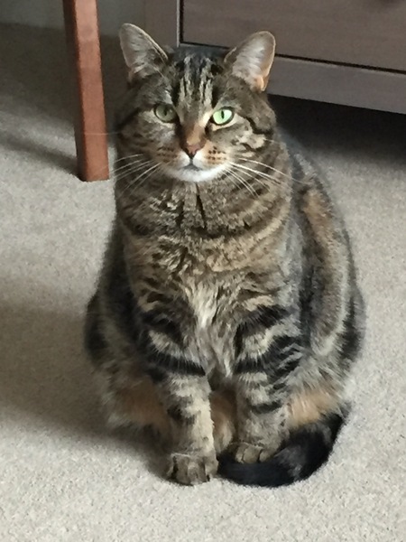 Frugaleers Marching on!