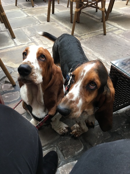 Week 4 - Spring Low Carb Bootcamp - our first month!