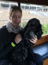 Has anybody had a good experience with a rescue dog?