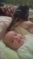 Has anybody had a good experience with a rescue dog?
