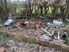 Allotment/Veg Patch -Thread  8 - Its spring - time to get busy!