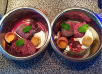 Training treats for raw fed puppy