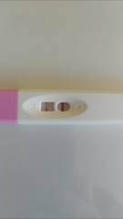 Mid-Late November due dates