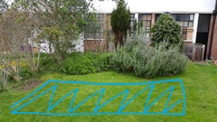 Is this a good place to plant a veg plot?