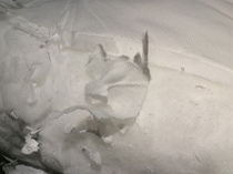 Odd non fabric 'material' that covers the wadding in a cushion?