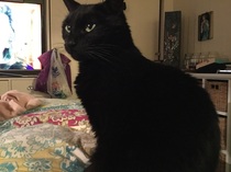 What's your dcat doing today?