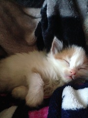 This is Murph...