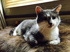 May 2017 #9 3rd trimester!