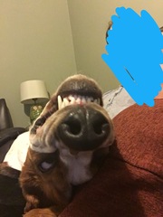 Week 8 - Spring Low Carb Bootcamp - an early start this week