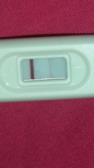 Bfp or faulty test??