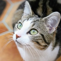 Gorgeous eyes.