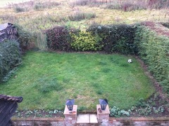 Allotment/Veg Patch -Thread  8 - Its spring - time to get busy!