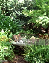 Calling shovetheholly and other gardeners! Help!
