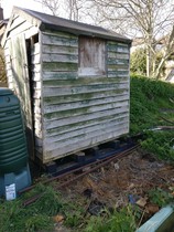 Allotment/Veg Patch -Thread  8 - Its spring - time to get busy!