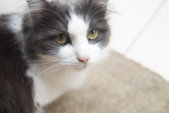 Gorgeous eyes.