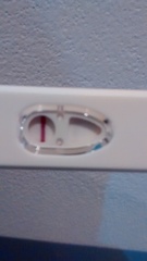 Thread 27. TTC #1 - we're stressed, we're fed up, we're bitter but I promise this will all be worth it when we're holding our precious babies