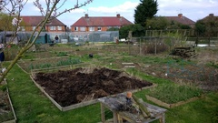Allotment/Veg Patch -Thread  8 - Its spring - time to get busy!