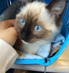 Gorgeous eyes.
