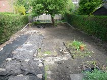 Calling shovetheholly and other gardeners! Help!